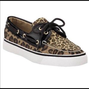 EUC Leopard print sperry!!!